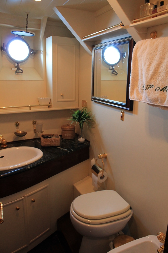 Yacht DP MONITOR - Ensuite.jpg