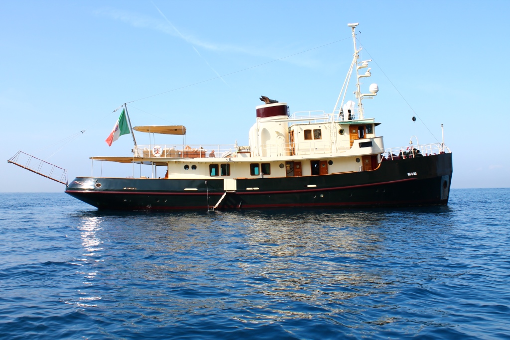 Yacht DP MONITOR - Profile.jpg
