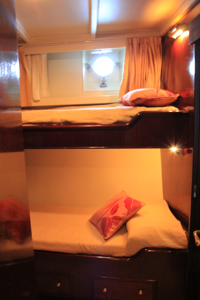 Yacht DP MONITOR - Twin Cabin 3.jpg