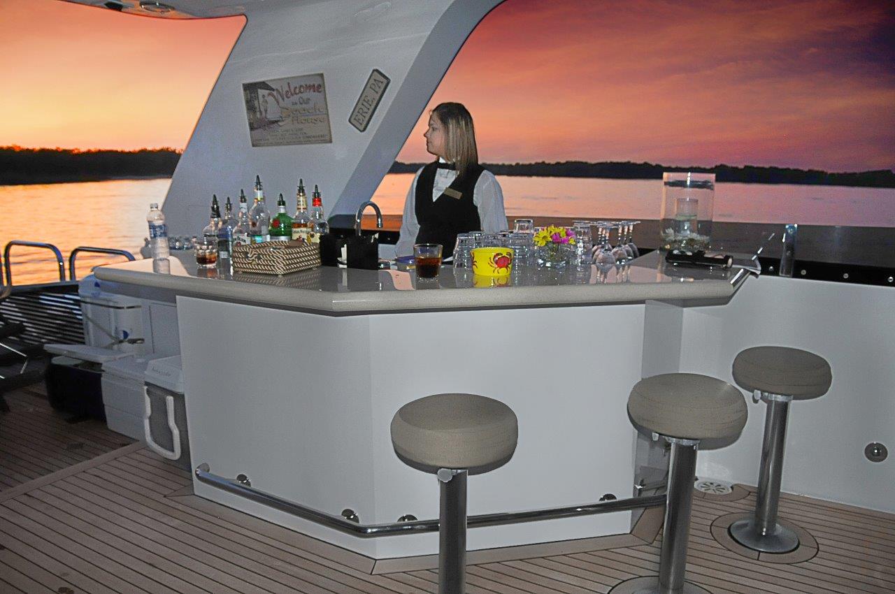 Yacht SCOTT FREE -  Flybridge Bar.jpg