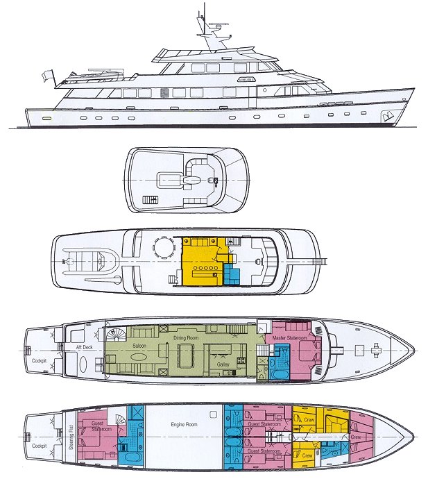 achillieslayout