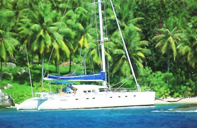 marquises56-palms.jpg