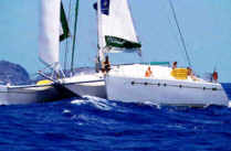 privilege 65 sail.jpg