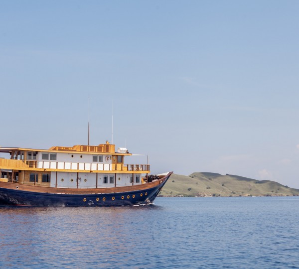 Video: Merry Christmas from Tahiti Private Expeditions