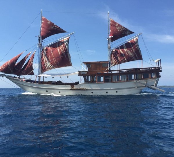 Mirage Tender of Miami acquired by International Yacht Network