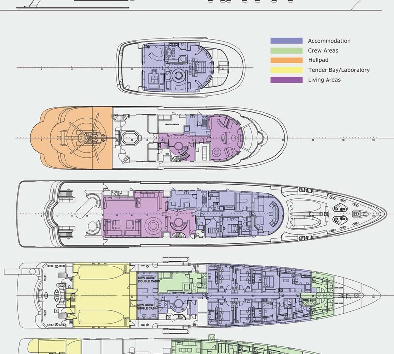 Layout