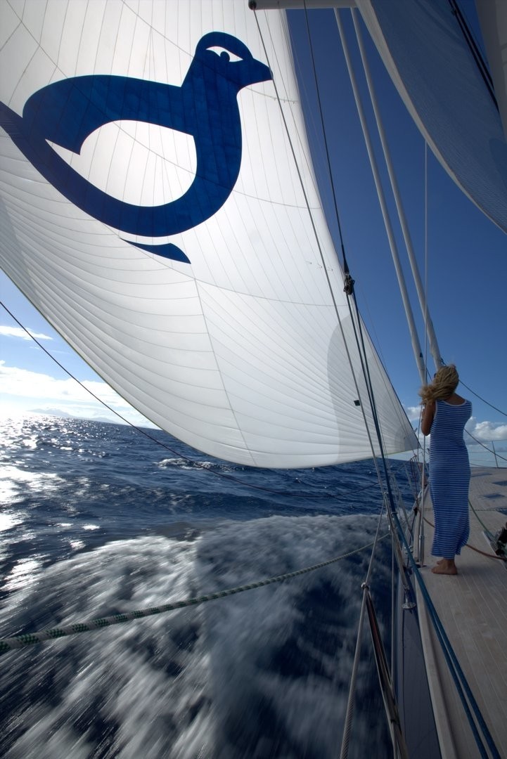 The 25m Yacht PTARMIGAN