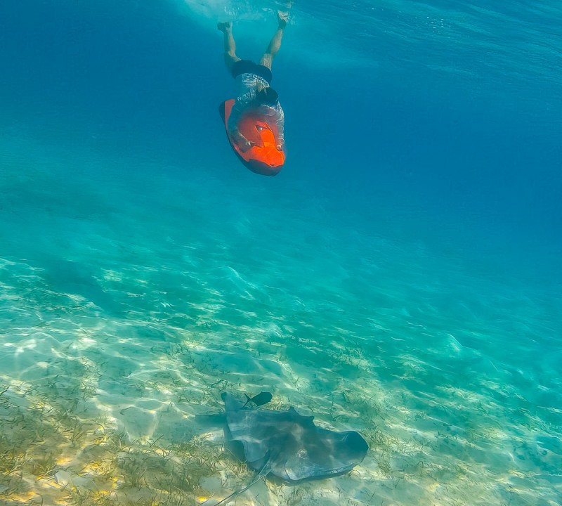 Seabob