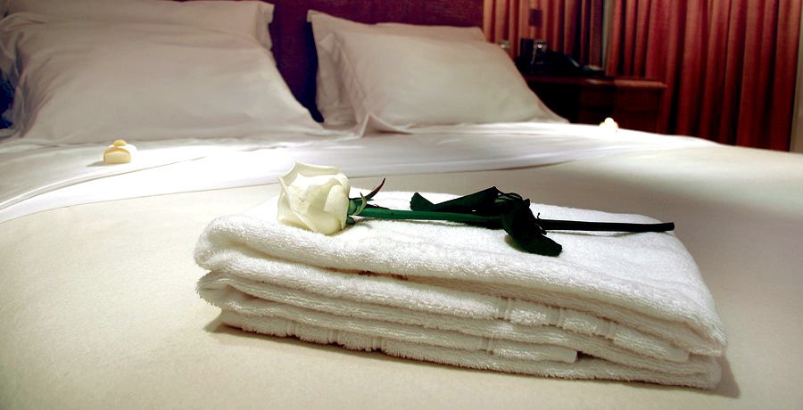 Rose: Yacht ELEGANT 007's Guest's Cabin Image