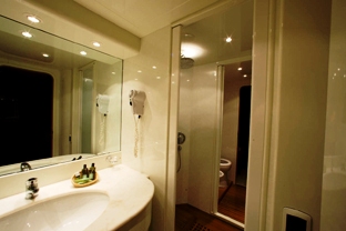 ANTALEX -  Master Bath