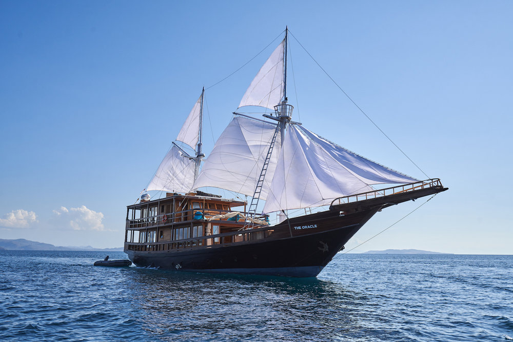 ORACLE yacht sailing