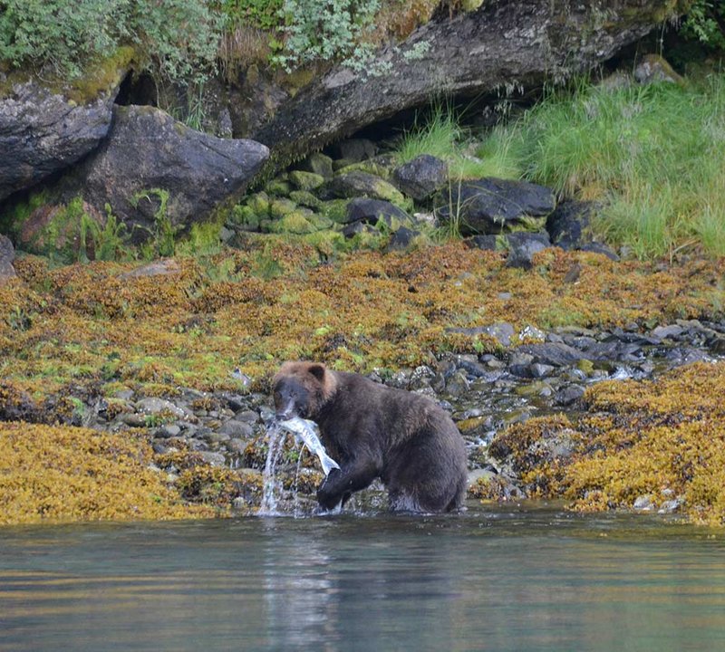 Alaska