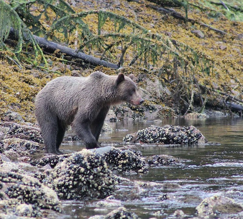 Alaska 3
