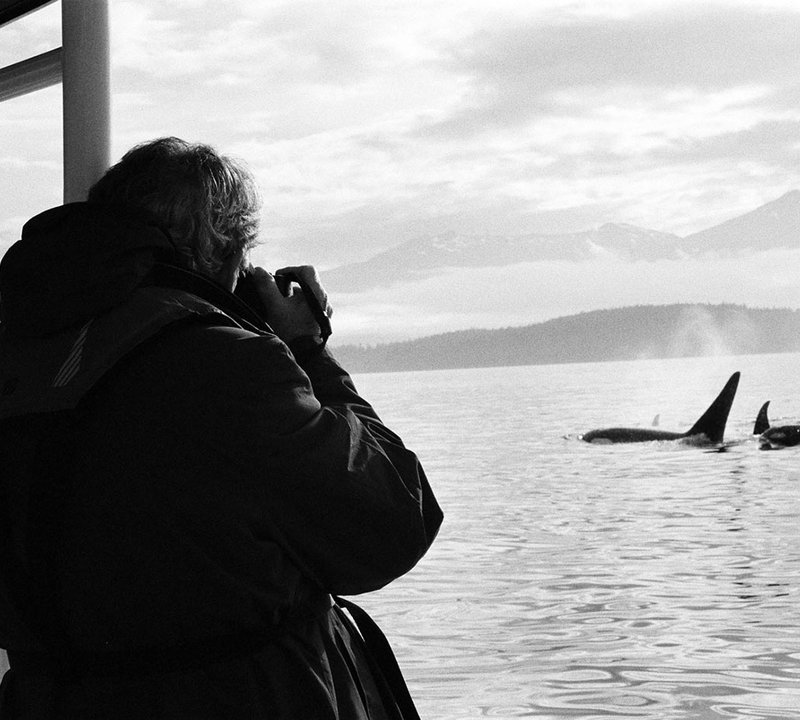 Alaska Charters