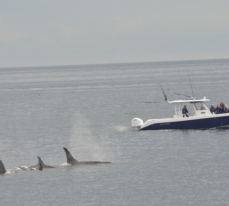 Alaska Charters