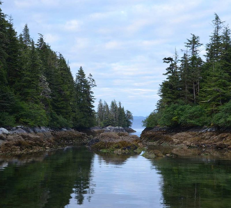 Alaska Charters