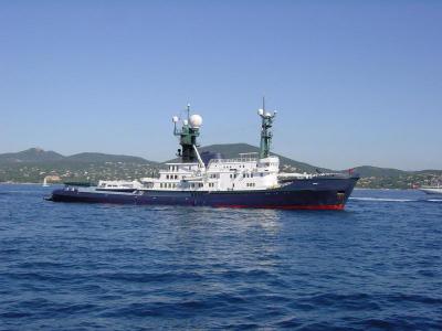 Arctic P - Photo Credit F Caspers