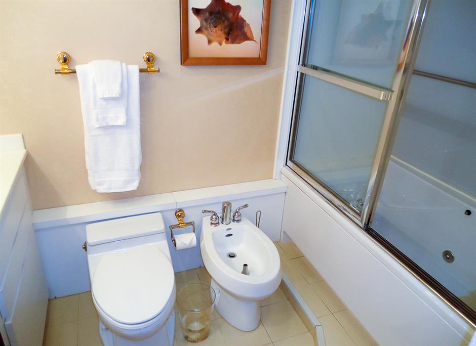 BIDET