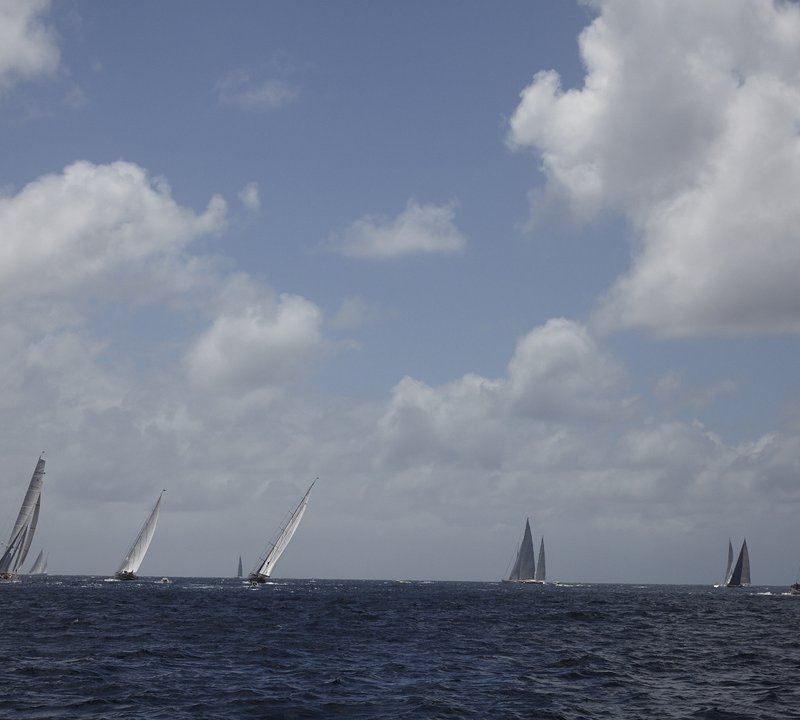 Charter Seahawk For The Best Regatta Events