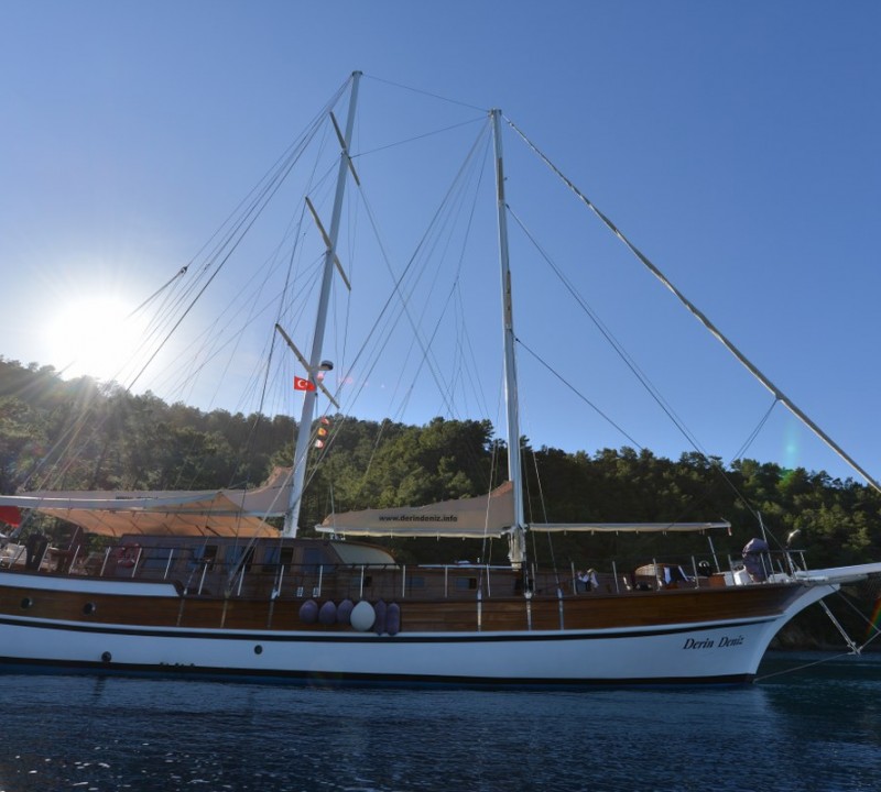 DERIN DENIZ Profile