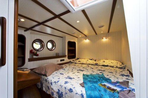Dame des Tropiques -  Cabin