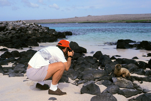 Discover Galapagos