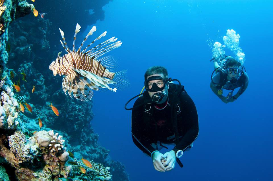 Diving