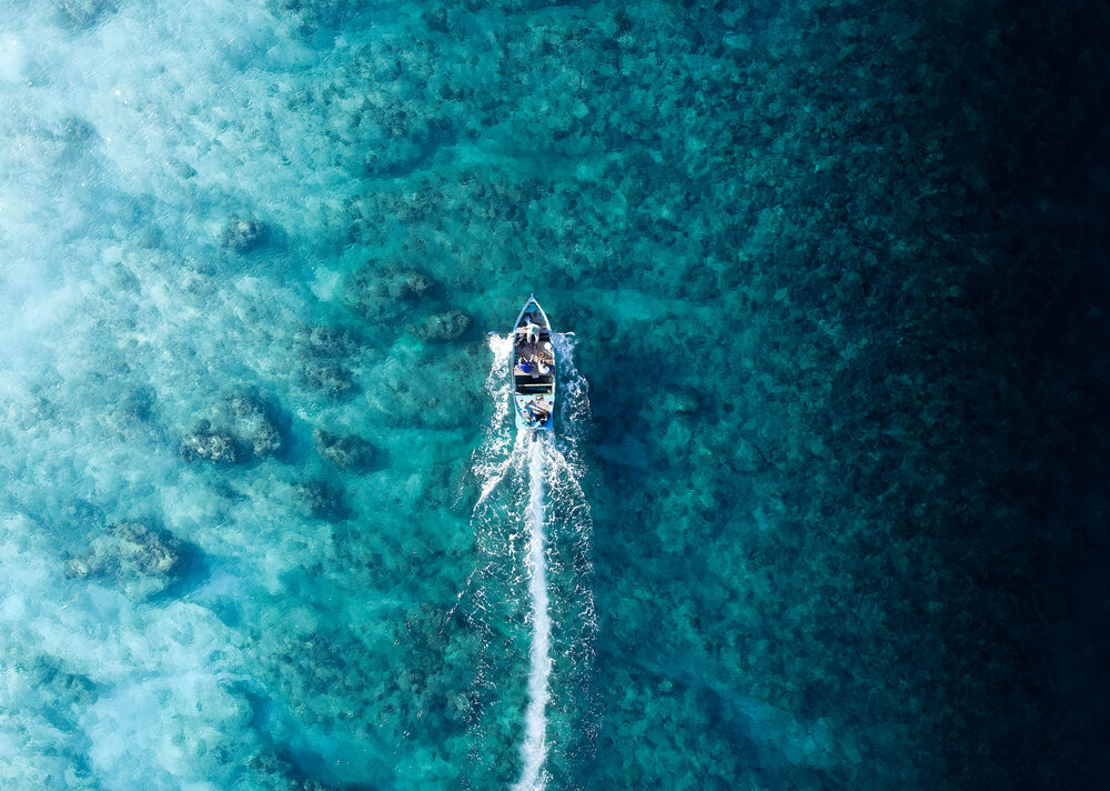 Diving Experience