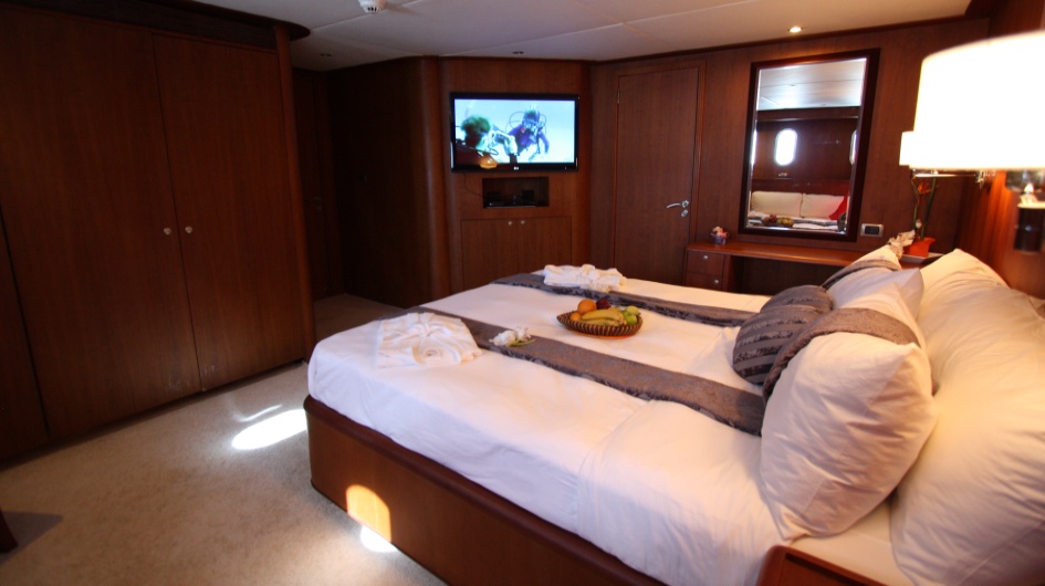 Dolphin Suite