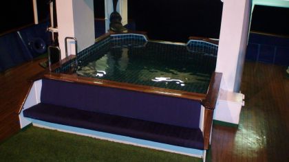 Expedition Yacht SARSEN - Pool & Outdoor Lounge