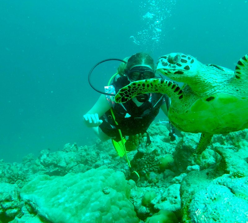 Sealife