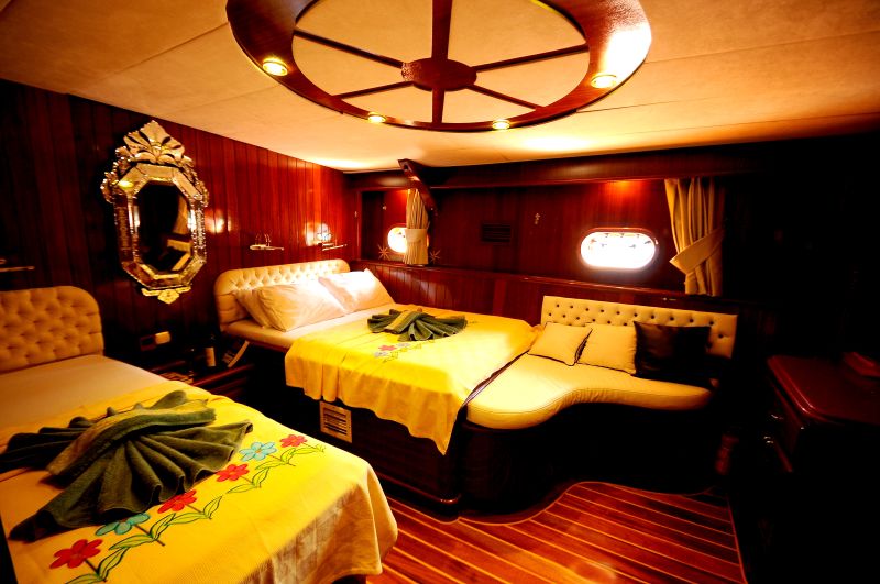 Guest Cabin