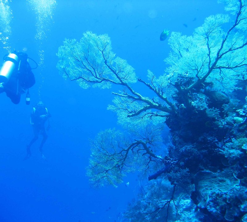 Scuba diving