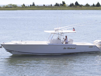 LADY SHARON GALE Towed Tender