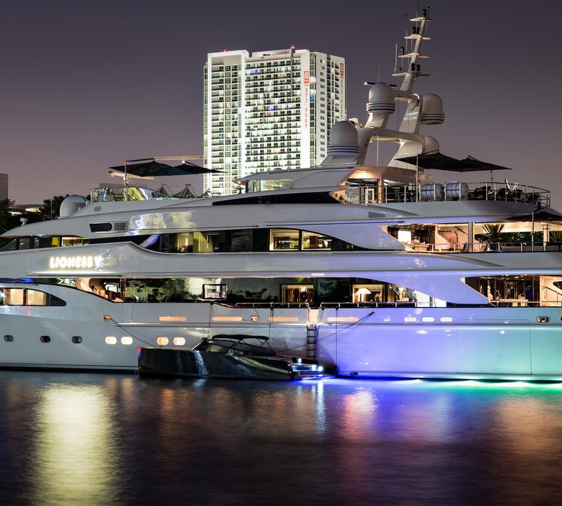 Lioness V In Miami
