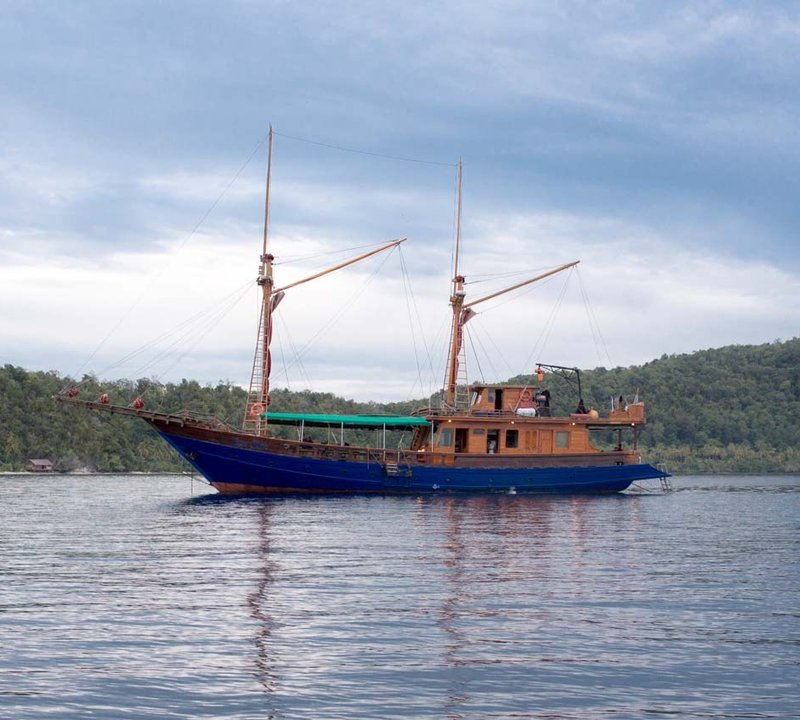 Luxury Phinisi Tiger Blue