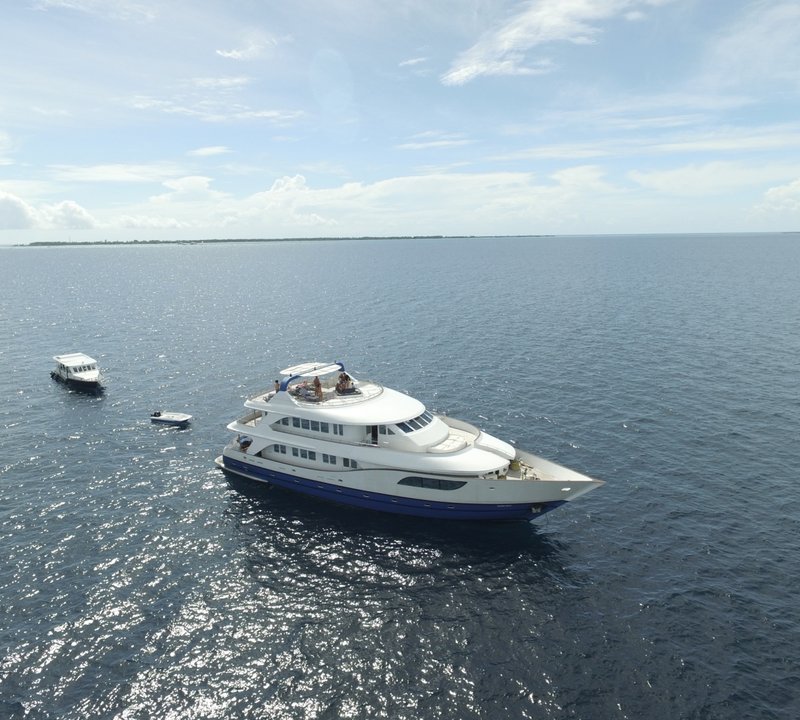Anchored on charter
