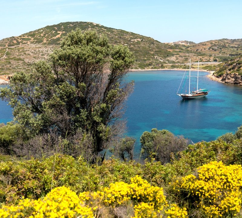 MICHELE at anchor