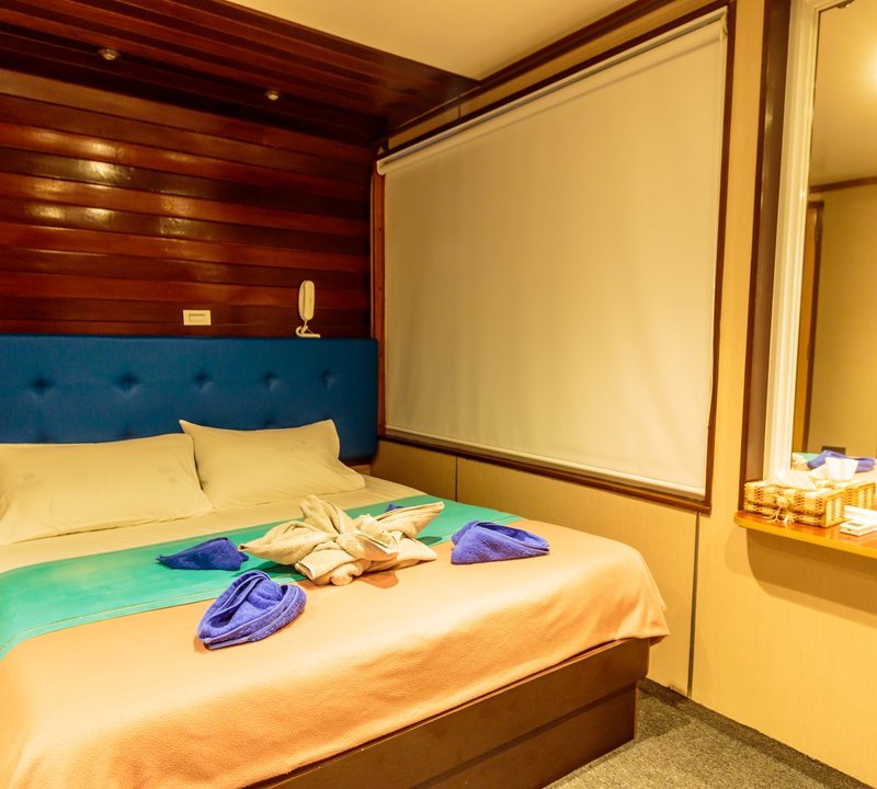 Guest Cabin 00008