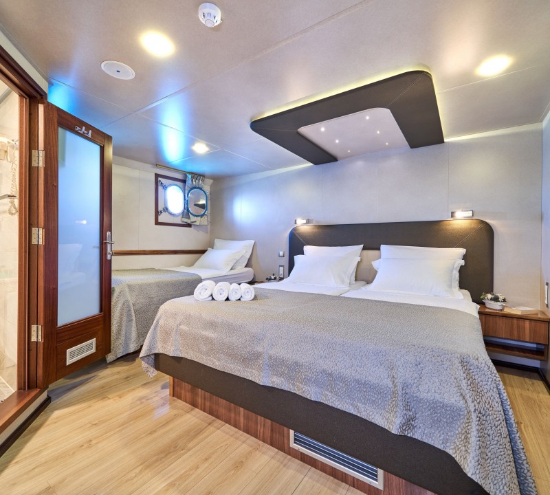 Guest Cabin
