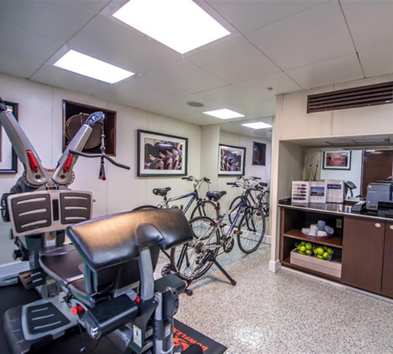 Gym Equipment