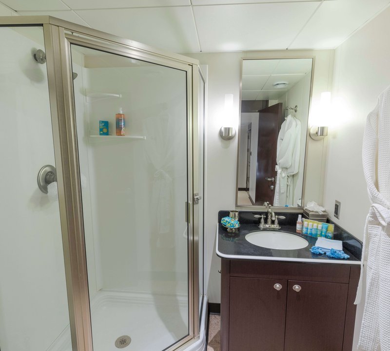 Ensuite Shower