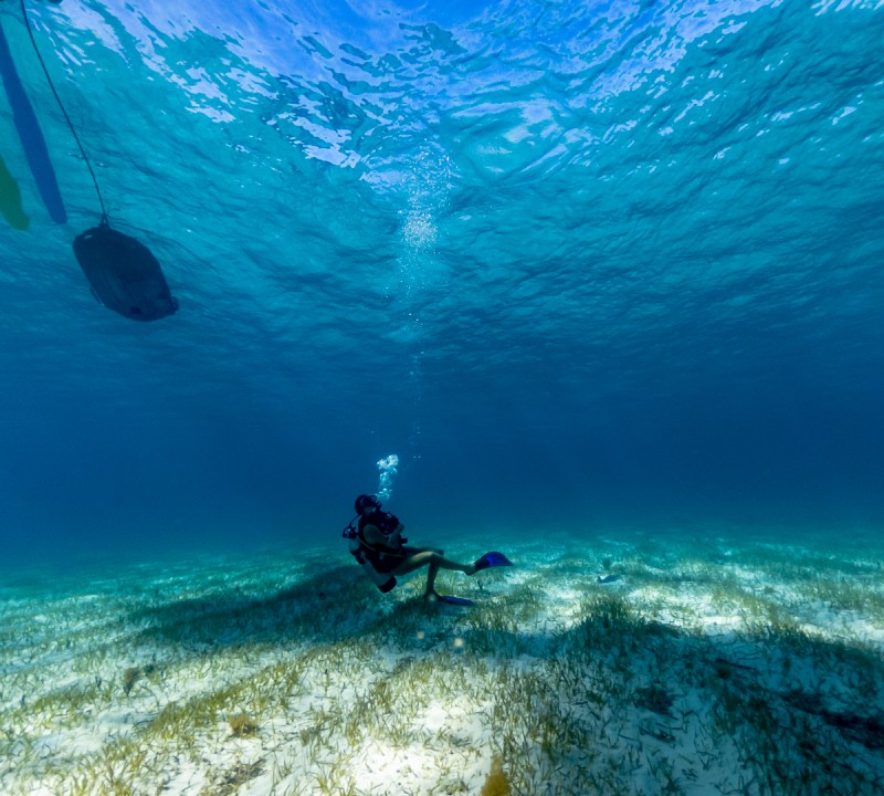 Underwater