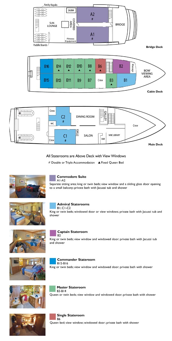 Layout