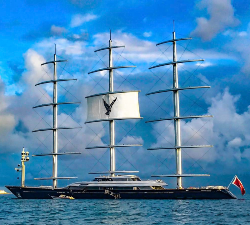 Maltese Falcon spotted in St Maarten