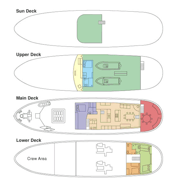 PACIFIC YELLOWFIN -  Layout