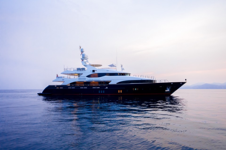 Profile Of BLUE VISION