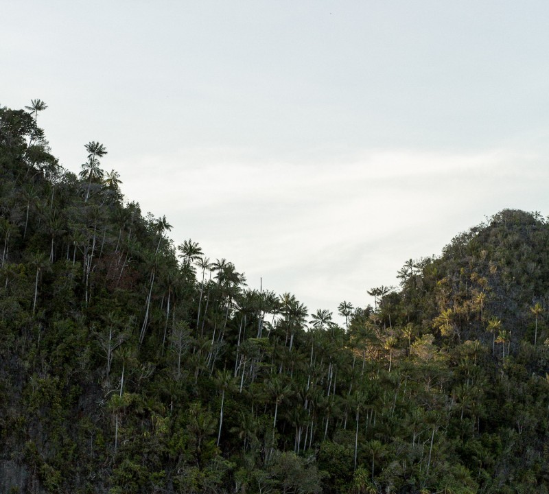 Raja Ampat