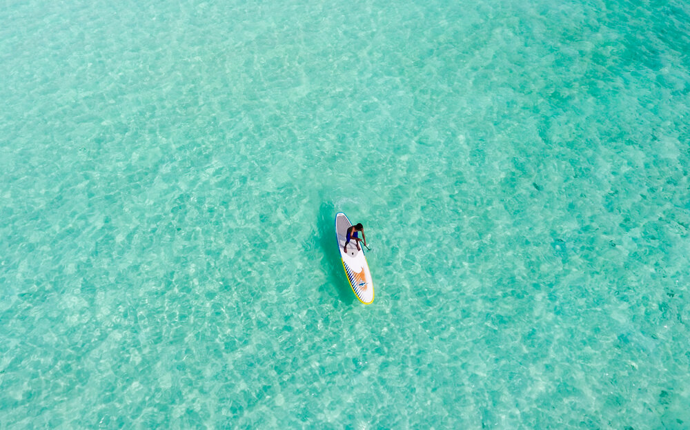 Stand Up Paddle Board