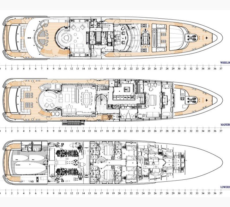 SAN BERNARDO -  Layout